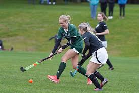 Image result for Netherne Community Amateur Sports Club