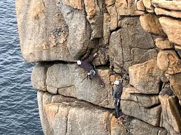 Image result for Ipswich Mountaineering Club