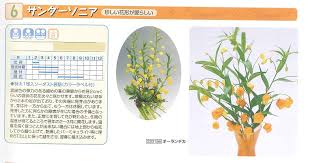 「ソニア・パレス」の画像検索結果