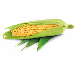 Image result for Mais