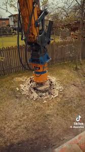 Image result for dipperfox tehron