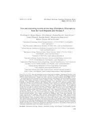 Attēlu rezultāti vaicājumam “Pinthaeus sanguinipes imago”