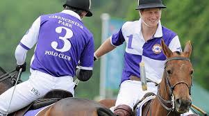 Image result for Cirencester Park Polo Club