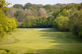 Image result for Chelmsford Gc