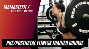 Image result for Postnatal Exercise Course