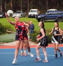 Image result for Shelley Netball Club