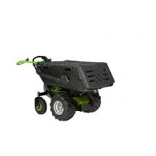 Image result for etesia tehron