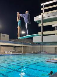 Image result for 243 Diving Club