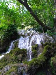 「parque los chor」の画像検索結果