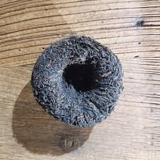 Image result for 2005早春