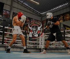 Image result for Garnock Valley Amateur Boxing Club