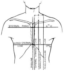 Image result for body midline