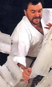 Image result for Seiki Juku Karate Club