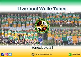 Image result for Wolfe Tones Gaelic Athletic Club