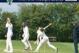 Image result for Yoxford Cricket Club