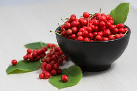 Attēlu rezultāti vaicājumam “Schisandra chinensis”