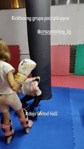Image result for United Dojos Kickboxing
