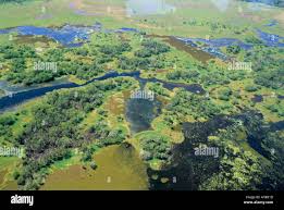 Billedresultat for kakadu n...