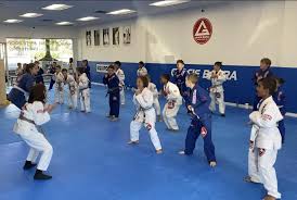 Image result for Surrey Ju - Jitsu Kick Boxing Club