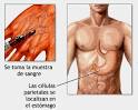 de la <b>vitamina</b> B12