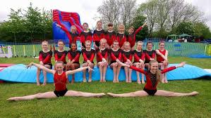 Image result for Tamworth Olympic Gymnastics Club