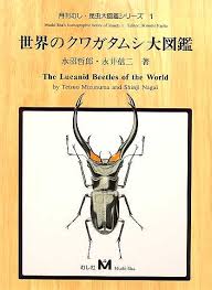 Attēlu rezultāti vaicājumam “Lucanidae”