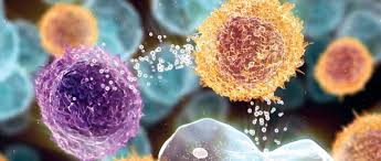 Image result for ics tehron