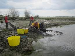 Image result for Suffolk Coastal Floaters