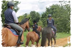 Image result for Old Park Riding Stables