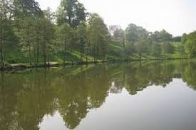 Image result for Bathampton Angling Association