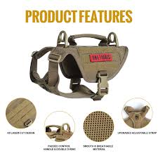 Image result for Laser Mayhem