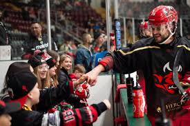 Image result for Cardiff Devils