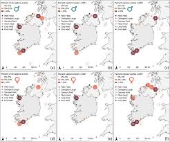 Image result for Dipturus intermedius
