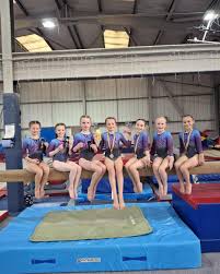 Image result for Sudbury Gymnastics Club
