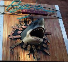 Image result for Leeds Sharks