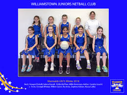 Image result for Twinkles Netball Club