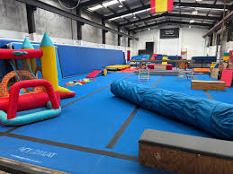 Image result for Aero Gymnastics Club