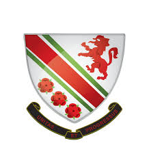 Image result for Urmston Cc