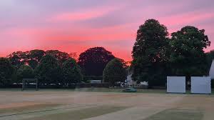 Image result for Sibton Park Cricket Club