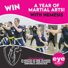Image result for NEMESIS MARTIAL ARTS & FITNESS