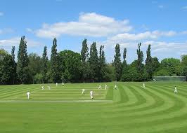 Image result for Warrington Cricket Club