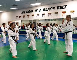 Image result for Park Place Olympic Tkd