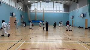 Image result for Leighton Buzzard Tae Kwon-Do Club