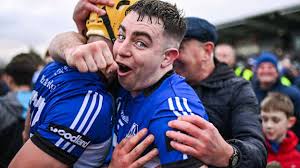 Image result for Patrick Sarsfield Gaelic Athletic Club