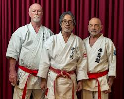 Image result for Ryusui-ryu Martial Arts School East Grinstead