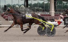 Image result for Meadows Sports Association