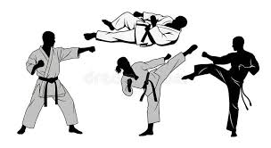 Image result for Action Karate