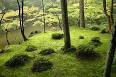 Japanese garden - Wikipedia, the free encyclopedia