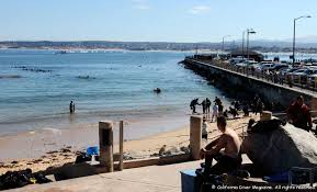 Image result for Breakwater Divers