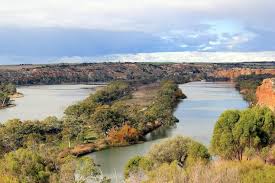 Attēlu rezultāti vaicājumam “Leporida”